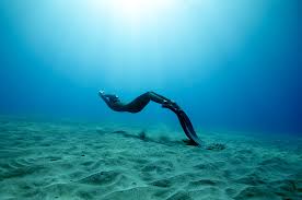 water-freediving